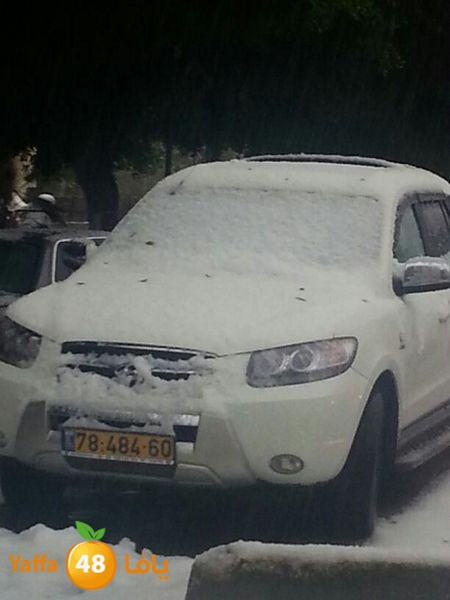 iceman lud 1213 (91).jpg